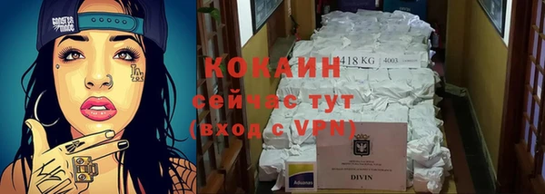 винт Осинники
