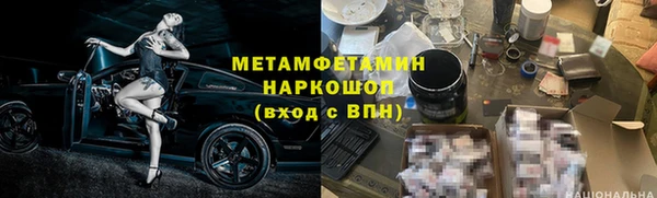 прущие грибы Осташков