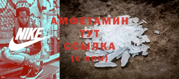 прущие грибы Осташков