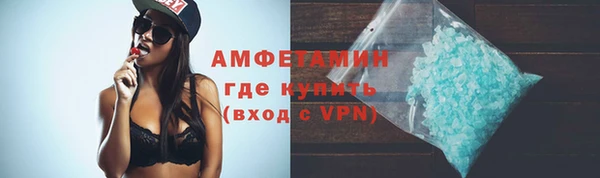 прущие грибы Осташков