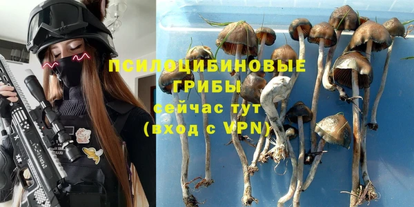 прущие грибы Осташков