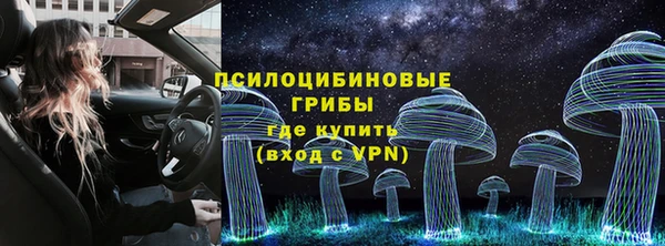 винт Осинники