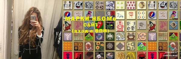 прущие грибы Осташков