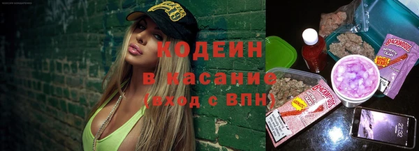 прущие грибы Осташков