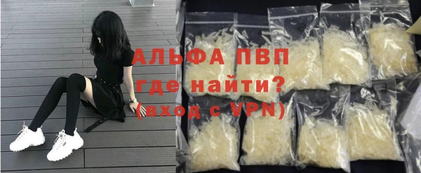 прущие грибы Осташков