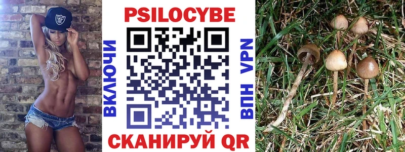 Купить закладки Рузаевка Псилоцибиновые грибы мухоморы